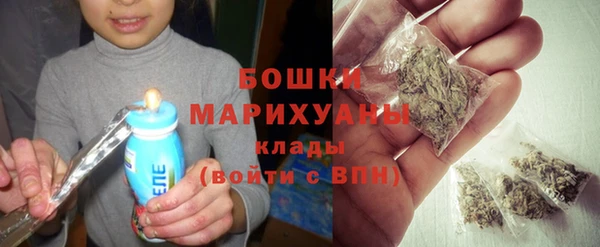 прущие грибы Зеленодольск