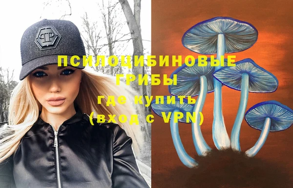 молекула духа Иннополис
