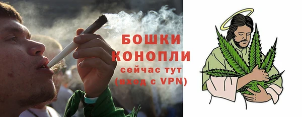 молекула духа Иннополис