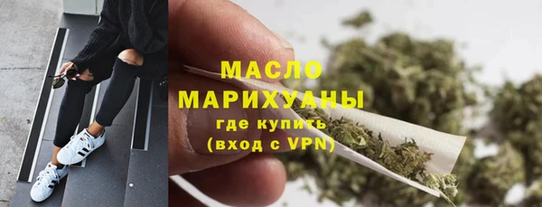 мдпв Инсар