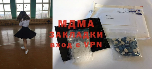 мдпв Инсар