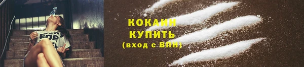 мдпв Инсар