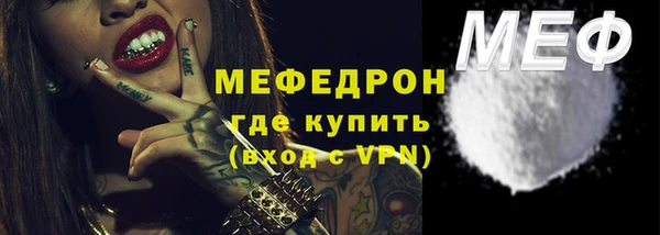 мдпв Инсар
