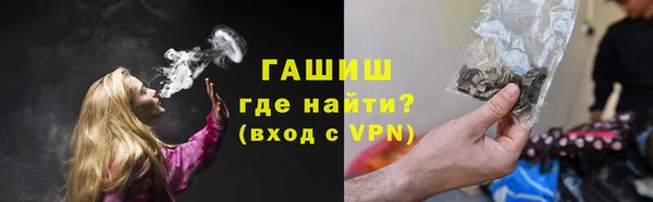 мдпв Инсар