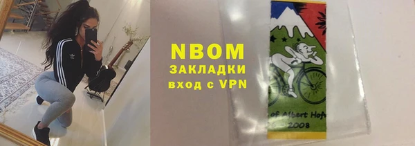 мдпв Инсар