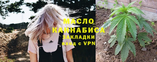 мдпв Инта