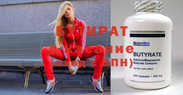 мдпв Инсар