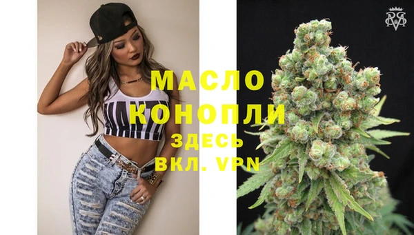 мдпв Инсар