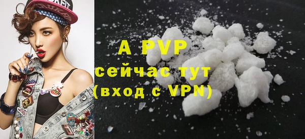 мдпв Инта