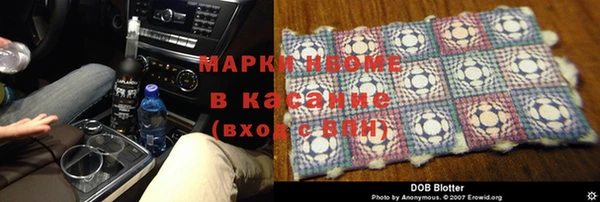 мдпв Инта