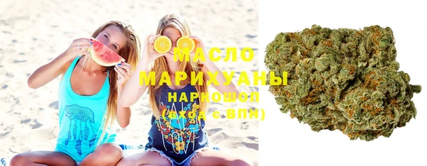 мдпв Инсар
