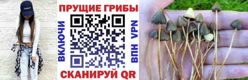 Галлюциногенные грибы мицелий Мамоново